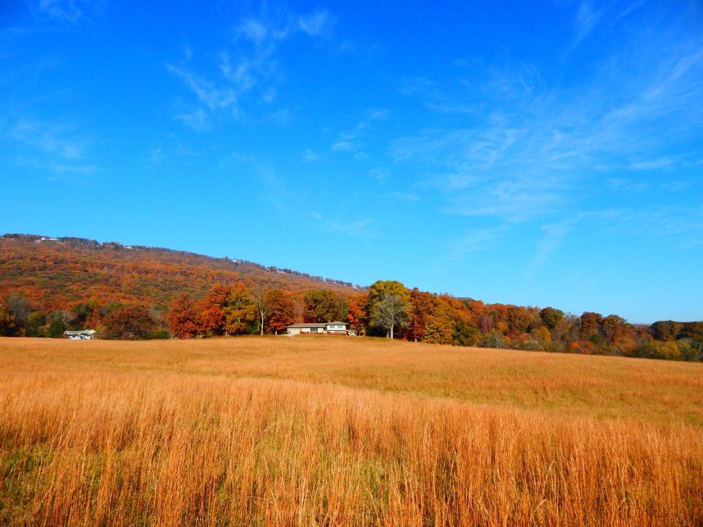 Fryars' Green at Tennessee RiverPlace