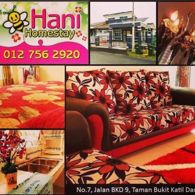 Hani Guest House Big House