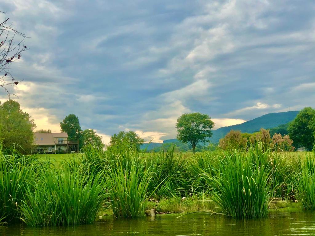 Little River Guest House at Tennessee RiverPlace