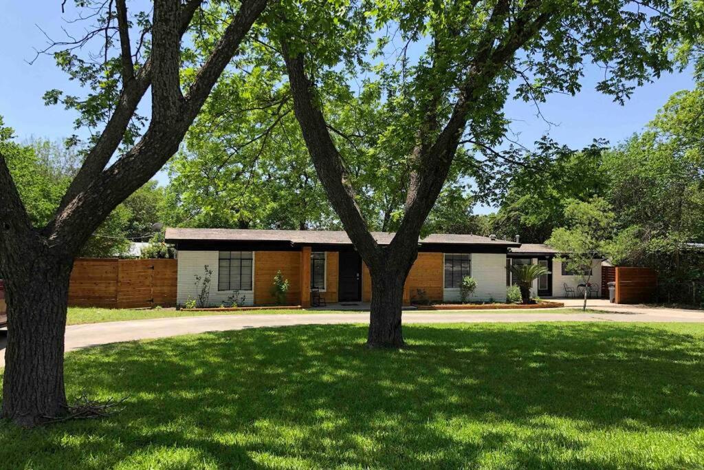 Mid Century Modern Beauty